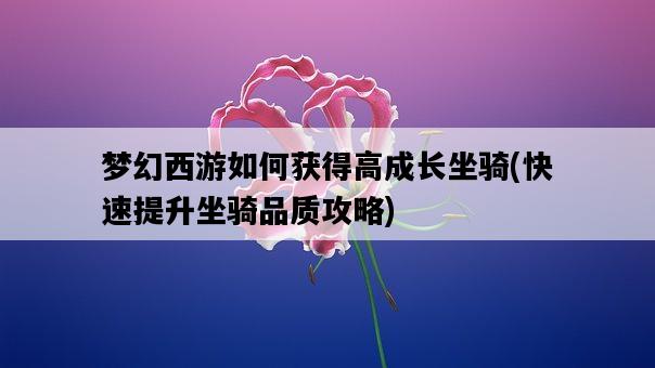 夢幻西游如何獲得高成長坐騎，快速提升坐騎品質攻略-圖1
