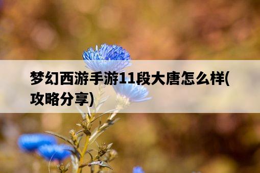 夢幻西游手游11段大唐怎么樣，攻略分享-圖1