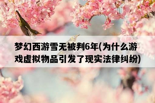夢幻西游雪無被判6年，為什么游戲虛擬物品引發了現實法律糾紛-圖1