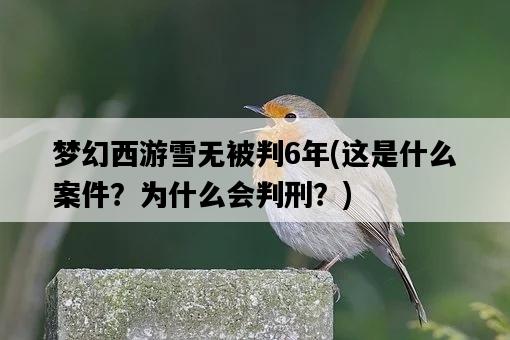 夢幻西游雪無被判6年，這是什么案件？為什么會判刑？-圖1