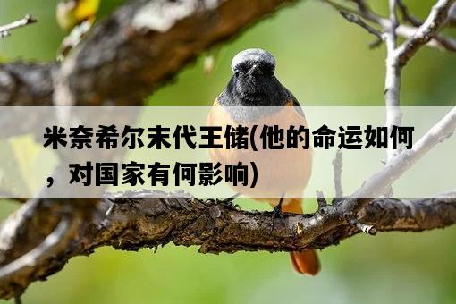 米奈希爾末代王儲，他的命運如何，對國家有何影響-圖1