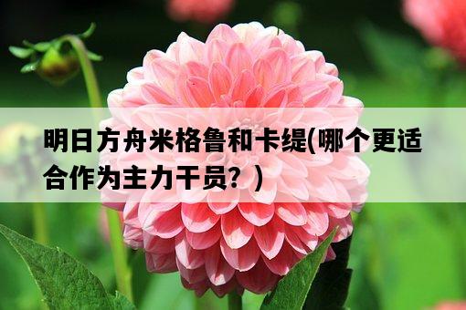 明日方舟米格魯和卡緹，哪個更適合作為主力干員？-圖1