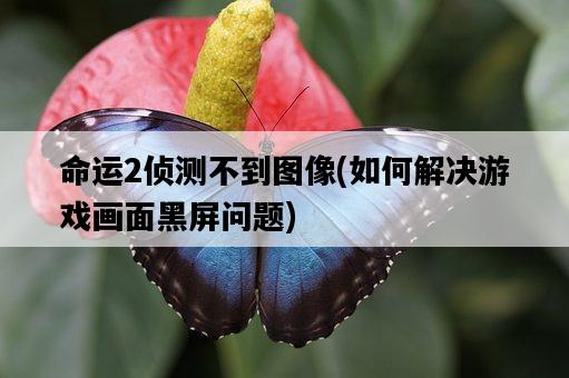 命運2偵測不到圖像，如何解決游戲畫面黑屏問題-圖1