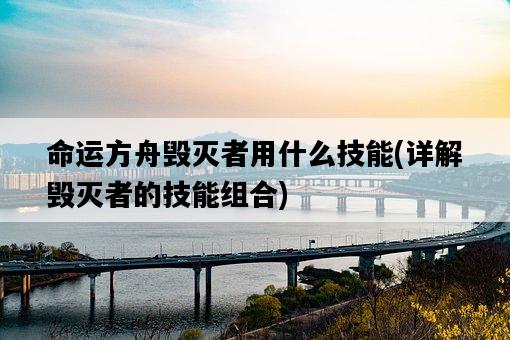 命運方舟毀滅者用什么技能，詳解毀滅者的技能組合-圖1