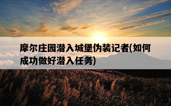 摩爾莊園潛入城堡偽裝記者，如何成功做好潛入任務-圖1