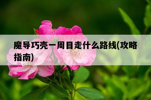 魔導巧殼一周目走什么路線，攻略指南-圖1