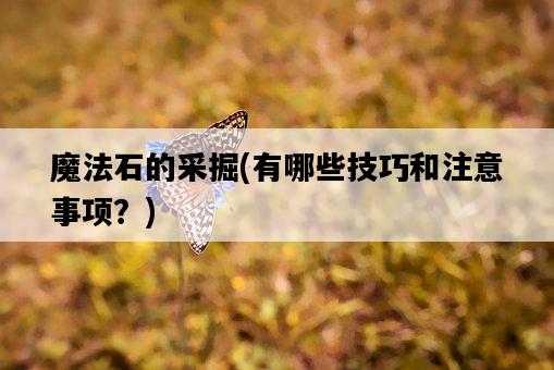 魔法石的采掘，有哪些技巧和注意事項？-圖1