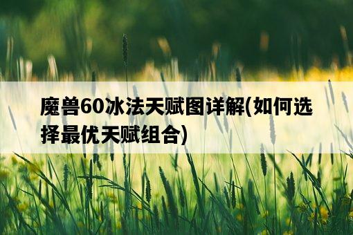 魔獸60冰法天賦圖詳解，如何選擇最優天賦組合-圖1