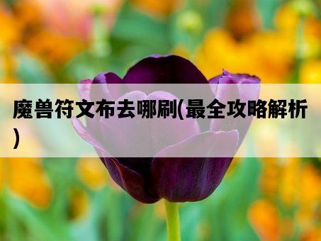 魔獸符文布去哪刷，最全攻略解析-圖1