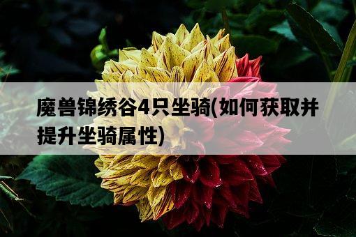 魔獸錦繡谷4只坐騎，如何獲取并提升坐騎屬性-圖1