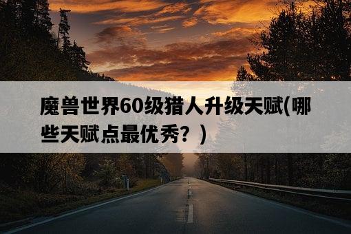 魔獸世界60級獵人升級天賦，哪些天賦點最優秀？-圖1