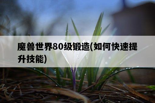 魔獸世界80級鍛造,如何快速提升技能-圖1 魔獸世界80級鍛造,如何快速提升技能-圖1