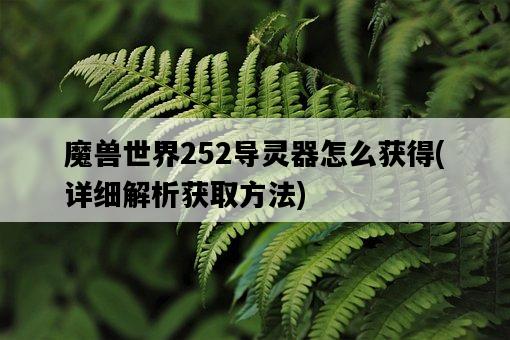 魔獸世界252導靈器怎么獲得，詳細解析獲取方法-圖1
