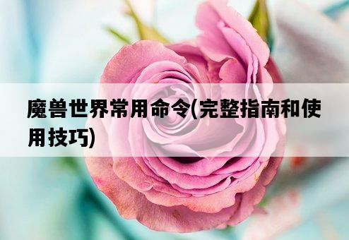 魔獸世界常用命令，完整指南和使用技巧-圖1