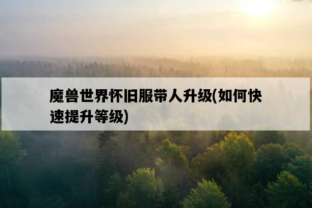 魔獸世界懷舊服帶人升級，如何快速提升等級-圖1