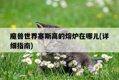 魔獸世界塞斯高的熔爐在哪兒,詳細指南-圖1 魔獸世界塞斯高的熔爐在哪兒,詳細指南-圖1