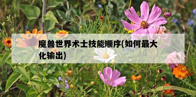 魔獸世界術士技能順序，如何最大化輸出-圖1