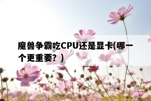魔獸爭霸吃CPU還是顯卡，哪一個更重要？-圖1