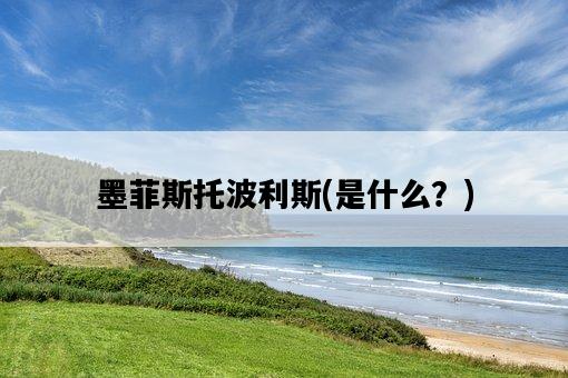 墨菲斯托波利斯，是什么？-圖1