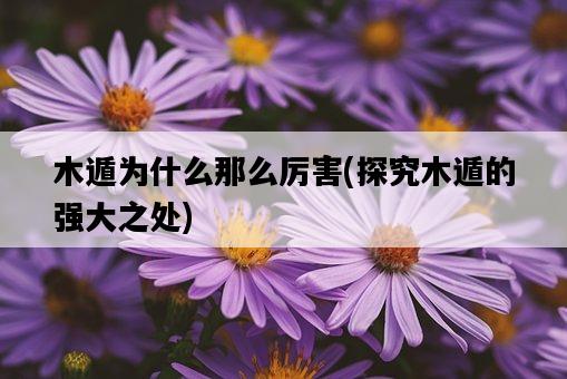 木遁為什么那么厲害，探究木遁的強大之處-圖1