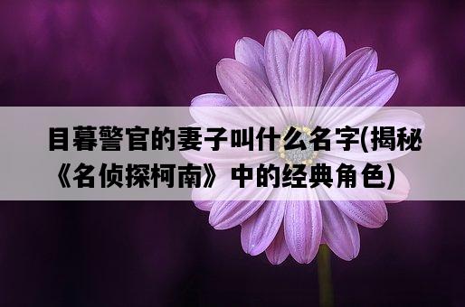 目暮警官的妻子叫什么名字，揭秘《名**柯南》中的經典角色-圖1