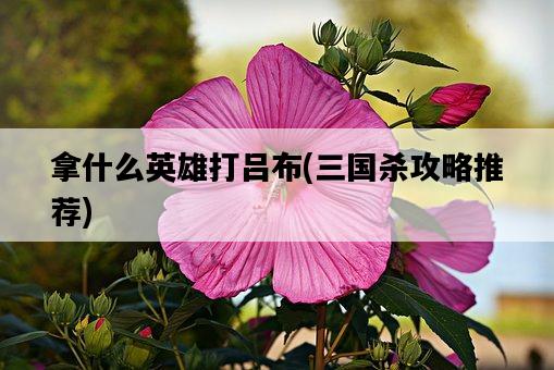 拿什么英雄打呂布，三國殺攻略推薦-圖1