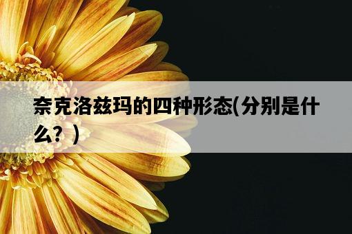 奈克洛茲瑪的四種形態，分別是什么？-圖1