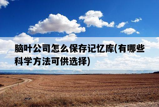 腦葉公司怎么保存記憶庫，有哪些科學方法可供選擇-圖1