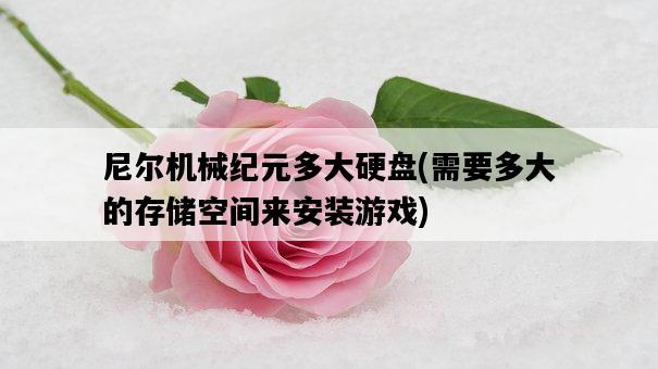 尼爾機械紀元多大硬盤,需要多大的存儲空間來安裝游戲-圖1 尼爾機械紀元多大硬盤,需要多大的存儲空間來安裝游戲-圖1