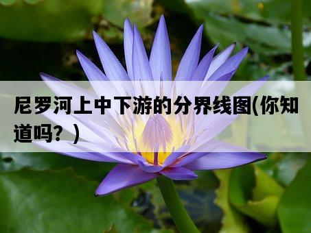 尼羅河上中下游的分界線圖，你知道嗎？-圖1