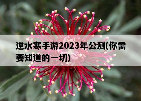 逆水寒手游2023年公測，你需要知道的一切-圖1
