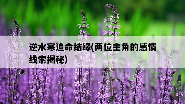 逆水寒追命結緣，兩位主角的感情線索揭秘-圖1