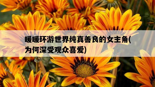 暖暖環游世界純真善良的女主角，為何深受觀眾喜愛-圖1