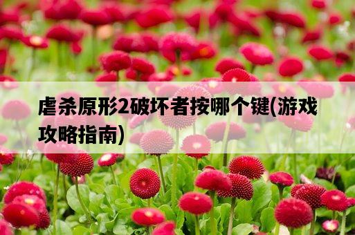 虐殺原形2破壞者按哪個鍵，游戲攻略指南-圖1