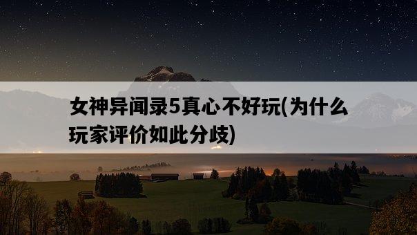 女神異聞錄5真心不好玩，為什么玩家評價如此分歧-圖1
