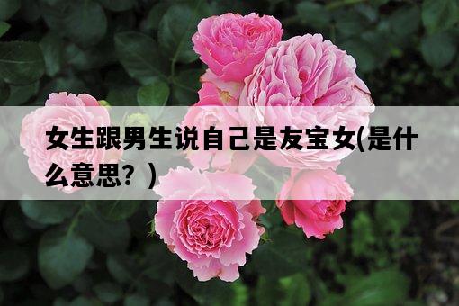 女生跟男生說自己是友寶女，是什么意思？-圖1