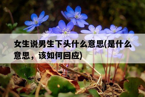 女生說男生下頭什么意思，是什么意思，該如何回應-圖1