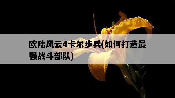 歐陸風云4卡爾步兵，如何打造最強戰斗部隊-圖1