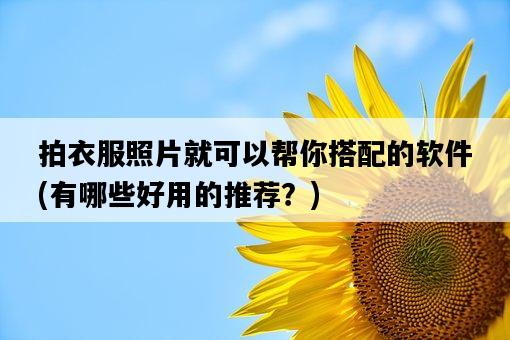 拍衣服照片就可以幫你搭配的軟件，有哪些好用的推薦？-圖1