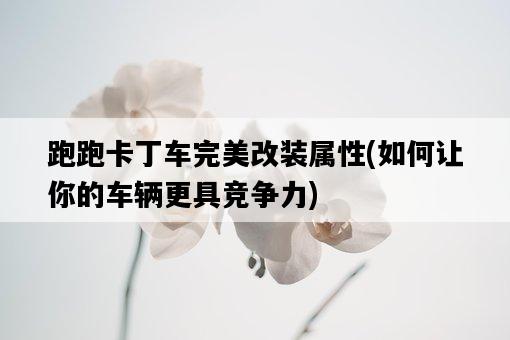 跑跑卡丁車完美改裝屬性，如何讓你的車輛更具競爭力-圖1