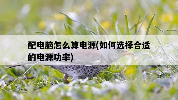 配電腦怎么算電源，如何選擇合適的電源功率-圖1