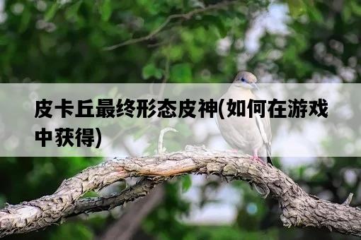 皮卡丘最終形態皮神，如何在游戲中獲得-圖1
