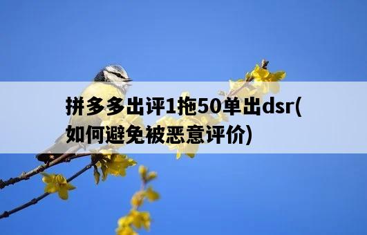 拼多多出評1拖50單出dsr,如何避免被惡意評價-圖1 拼多多出評1拖50單出dsr,如何避免被惡意評價-圖1