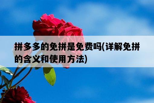拼多多的免拼是免費嗎,詳解免拼的含義和使用方法-圖1 拼多多的免拼是免費嗎,詳解免拼的含義和使用方法-圖1