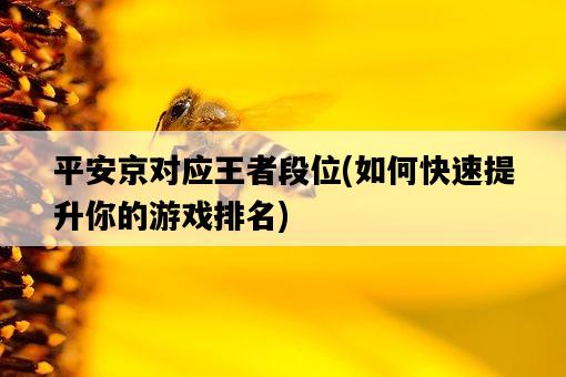 平安京對應王者段位，如何快速提升你的游戲排名-圖1