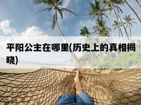 平陽公主在哪里,歷史上的真相揭曉-圖1 平陽公主在哪里,歷史上的真相揭曉-圖1