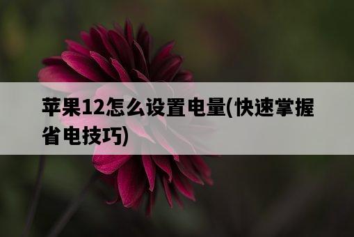 蘋果12怎么設置電量,快速掌握省電技巧-圖1 蘋果12怎么設置電量,快速掌握省電技巧-圖1