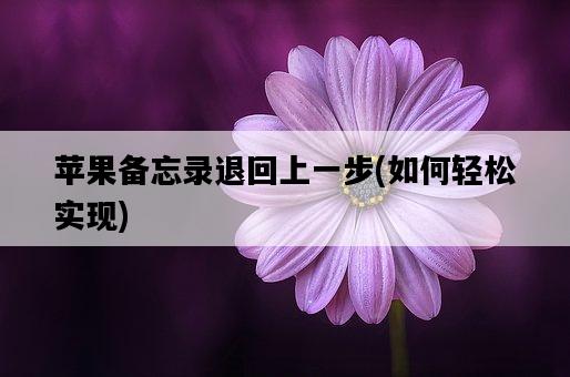 蘋果備忘錄退回上一步，如何輕松實現-圖1
