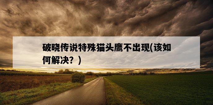 破曉傳說特殊貓頭鷹不出現，該如何解決？-圖1