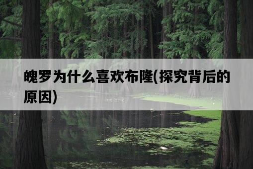 魄羅為什么喜歡布隆，探究背后的原因-圖1